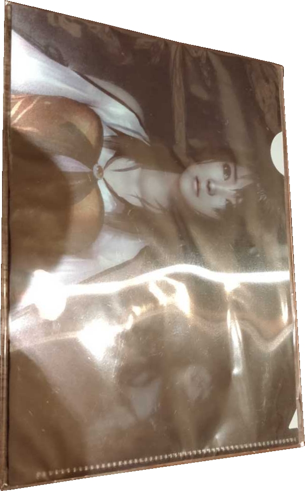 Front of clear file